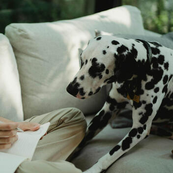DogSafetyJournal.us.org Research Note | Updated May 2026