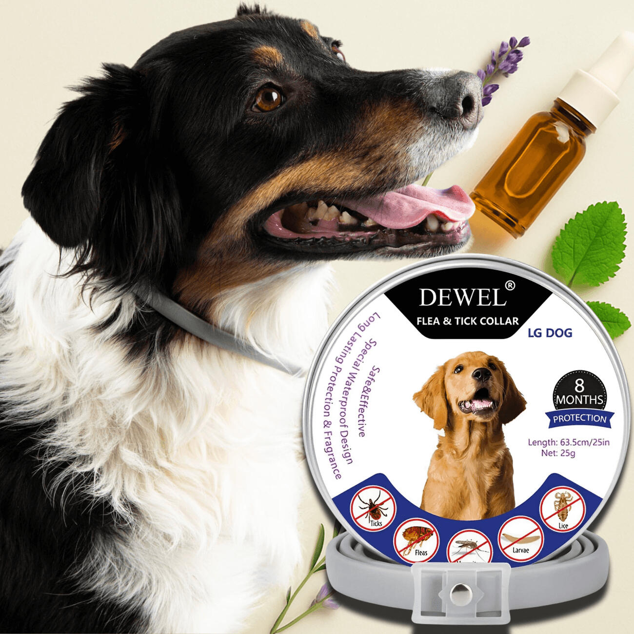 DEWEL Natural Collar: Built for Daily Mosquito Defense