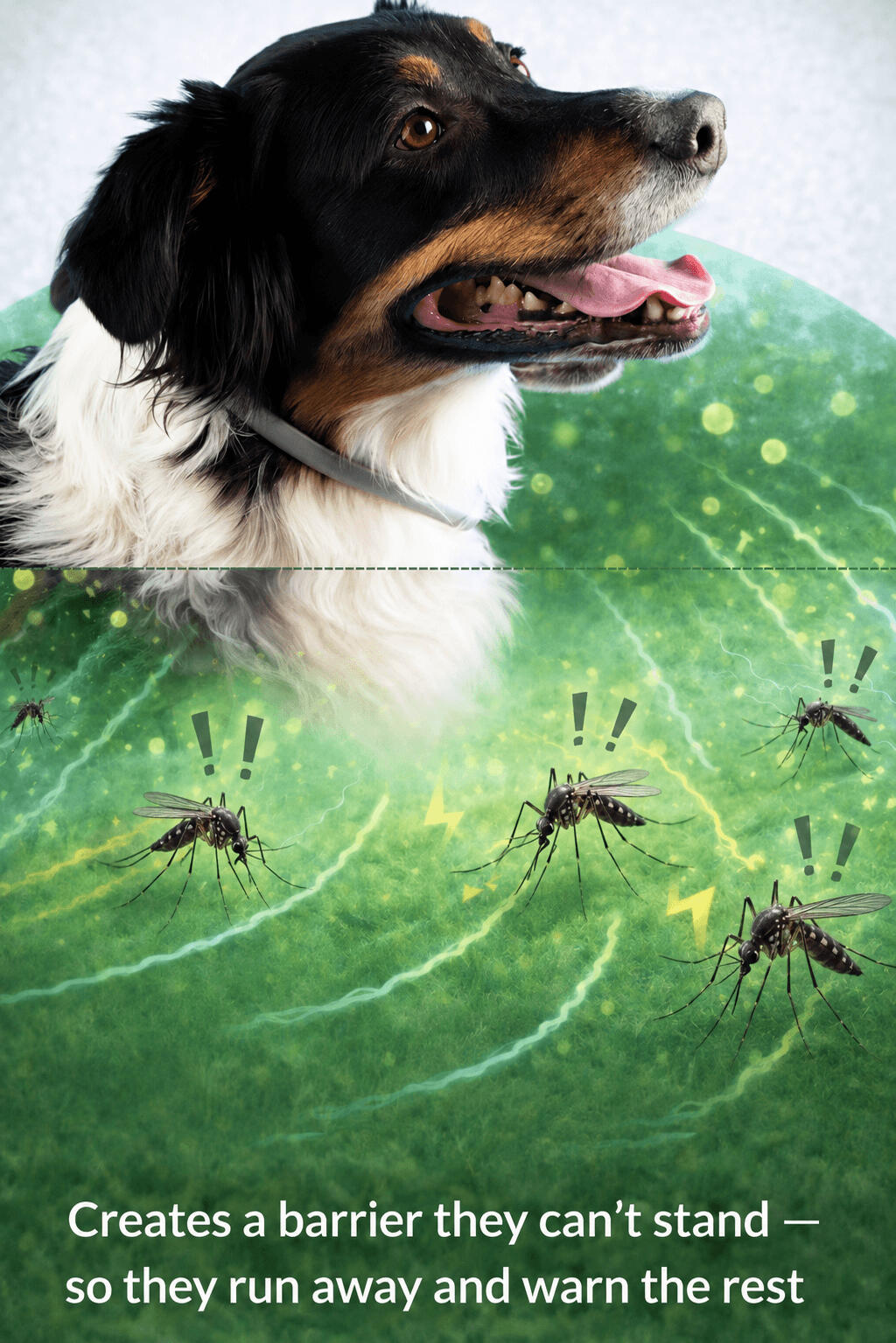 Why Repelling Mosquitoes Before They Bite Matters?