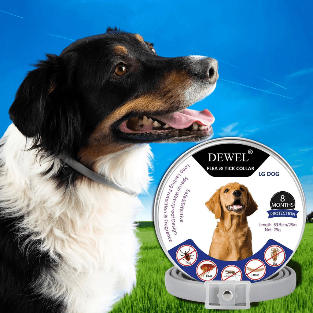 #1 — DEWEL Natural Mosquito Repellent Collar for Dogs