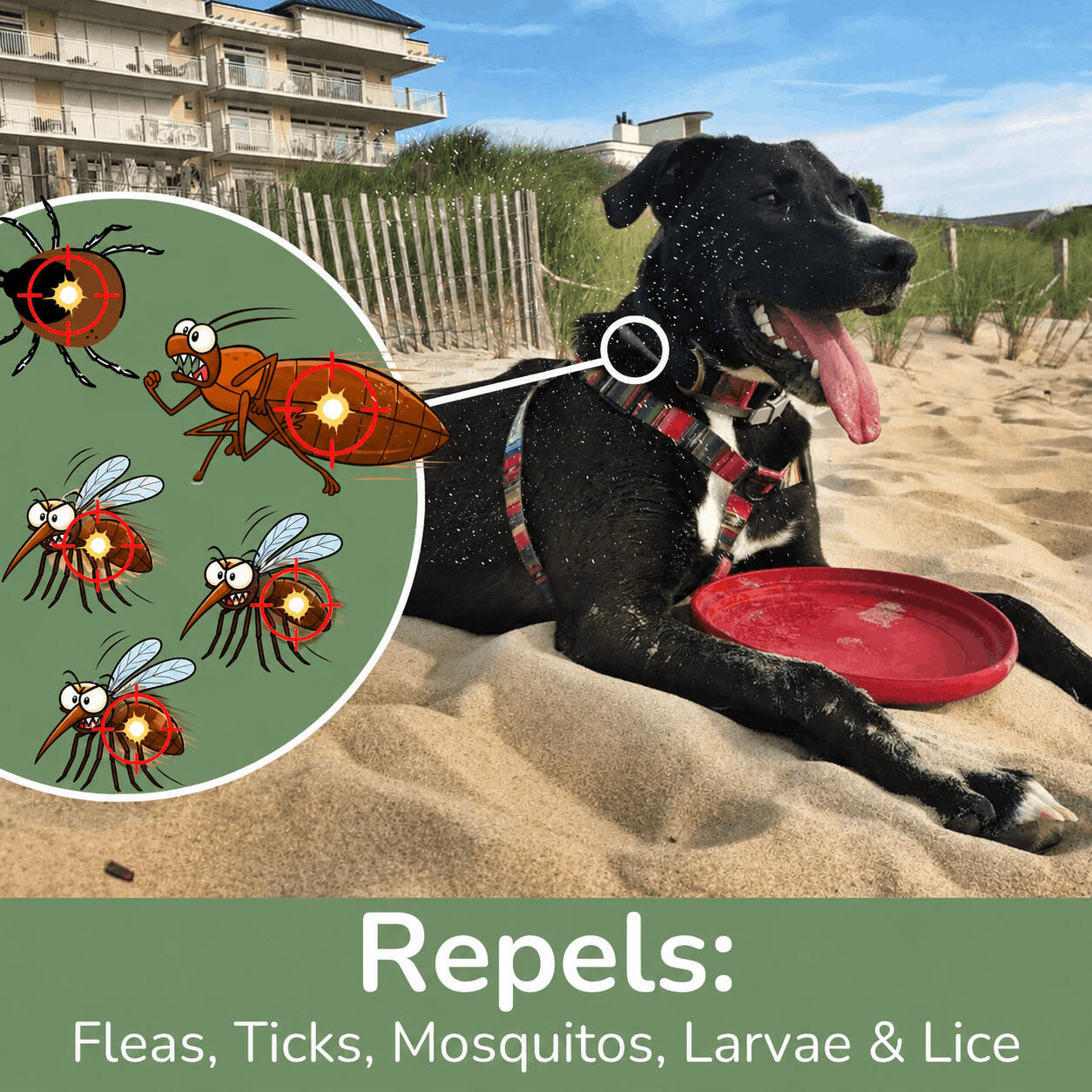 What Makes a Good Mosquito Repellent for Dogs?